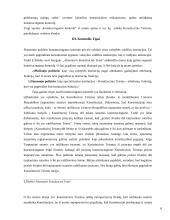 Konstitucinė kontrolė Lietuvos Respublikoje 6 puslapis
