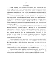 Konstituciniai principai, jų įvairovė 2 puslapis