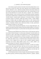 Konstituciniai principai, jų įvairovė 11 puslapis