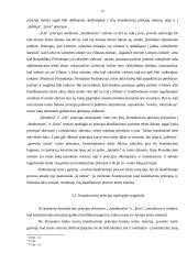 Konstituciniai principai, jų įvairovė 12 puslapis