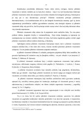 Konstituciniai principai, jų įvairovė 19 puslapis