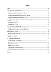 Konstituciniai principai, jų įvairovė 3 puslapis