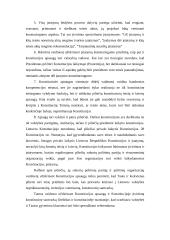 Konstitucinis teismas ir Konstitucijos apsauga 13 puslapis