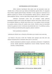 Kontrabanda Lietuvoje 13 puslapis