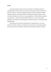 Lyčių stereotipų (per)kūrimas reklamoje, masinėje kultūroje 11 puslapis