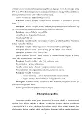 Lietuvos konstitucijų raida 1918–1940 metais 19 puslapis