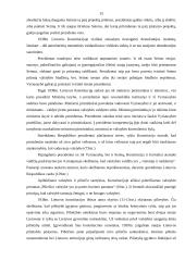 Lietuvos tarpukario konstitucijos 15 puslapis