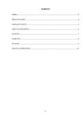 Filosofas Lucijus Anėjus Seneka 2 puslapis