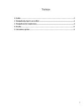 Manipuliacijų samprata ir jų tipai 2 puslapis