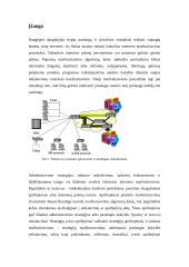 Maršrutų paieškos metodai pagal kokybės parametrą (Constraint Based Routing) 3 puslapis