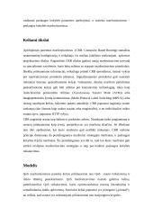 Maršrutų paieškos metodai pagal kokybės parametrą (Constraint Based Routing) 4 puslapis