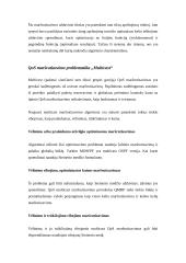 Maršrutų paieškos metodai pagal kokybės parametrą (Constraint Based Routing) 8 puslapis