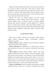 Mąstymas, mąstymo formos 3 puslapis
