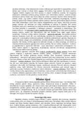 Minios psichologija 4 puslapis