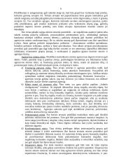 Minios psichologija 6 puslapis