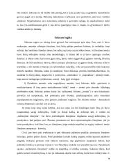 Moralės atsiradimas Sokrato filosofijoje 9 puslapis