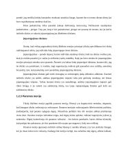 Motyvacijos teorijų ir jų taikymo programų analizė 13 puslapis