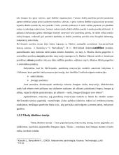 Motyvacijos teorijų ir jų taikymo programų analizė 10 puslapis