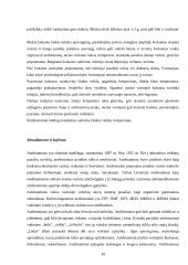 Priklausomybė nuo narkotikų ir narkomanija 10 puslapis