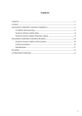 Naujoji viešoji vadyba. Samprata ir ištakos 2 puslapis