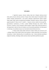 Naujoji viešoji vadyba. Samprata ir ištakos 13 puslapis