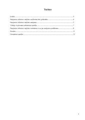 Naujosios viešosios vadybos samprata 2 puslapis