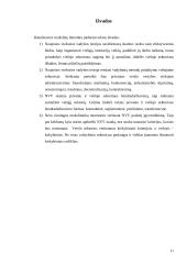 Naujosios viešosios vadybos samprata 11 puslapis