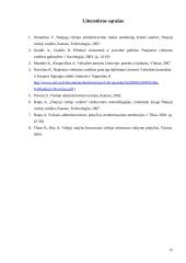 Naujosios viešosios vadybos samprata 12 puslapis