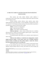 Neblaivaus asmens sulaikymas. Nesankcionuota protesto akcija 4 puslapis