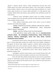 Neblaivaus asmens sulaikymas. Nesankcionuota protesto akcija 5 puslapis