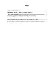 Neįgalaus asmens vertinimo ypatybės 2 puslapis