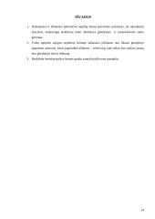 Nepilna šeima ir vaikas 14 puslapis