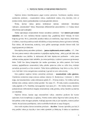 Nepilna šeima ir vaikas 4 puslapis