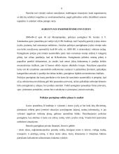 Nesankcionuota protesto akcija 6 puslapis