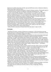 Neverbalinė kalba 7 puslapis