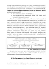 Nusikalstamos veikos kvalifikavimo samprata 3 puslapis