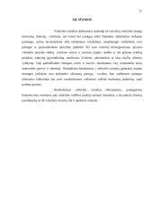 Nusikaltimai ir baudžiamieji nusižengimai valstybės tarnybai ir viešiesiems interesams 17 puslapis