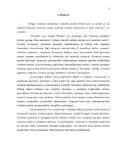 Nusikaltimai ir baudžiamieji nusižengimai valstybės tarnybai ir viešiesiems interesams 4 puslapis