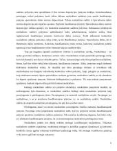 Nusikaltimo samprata ir sudėtis 6 puslapis