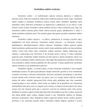 Nusikaltimo samprata ir sudėtis 7 puslapis