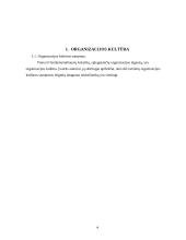 Organizacijos kultūra ir jai įtaką darantys veiksniai 3 puslapis