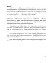 Organizacijos vizija, misija, tikslai 2 puslapis