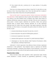 Organizacijos vizija, misija, tikslai 5 puslapis