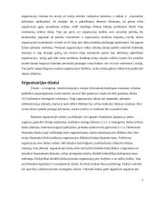 Organizacijos vizija, misija, tikslai 7 puslapis