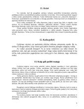 Paauglių ir tėvų santykiai 10 puslapis