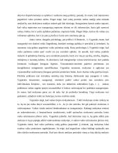Pagrindinės raidos psichologijos problemos 8 puslapis