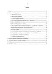 Pasaulinių tendencijų, valstybinių programų įtaka savivaldai 2 puslapis