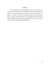 Patristinė filosofija 13 puslapis