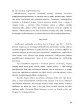 Patristinė filosofija 8 puslapis