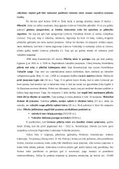 Piliečių ir kitų Lietuvoje gyvenančių asmenų teisės ir pareigos 4 puslapis